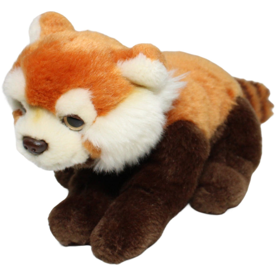 Roter Panda