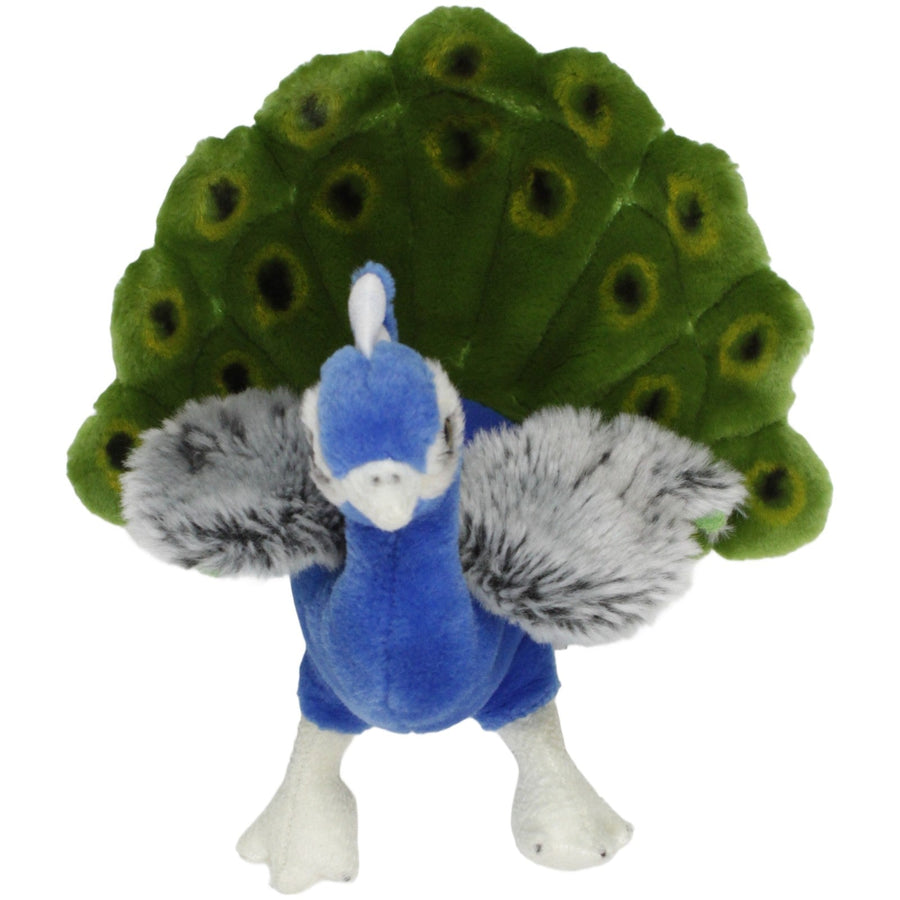 Plan International, Pfau
