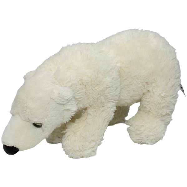 Hübscher Eisbär