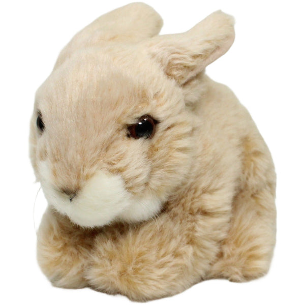 Hase, hellbraun