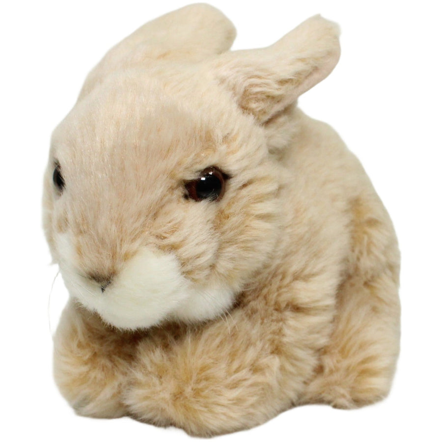 Hase, hellbraun