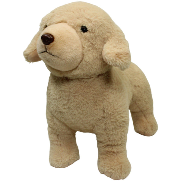 Schöner stehender Golden Retriever
