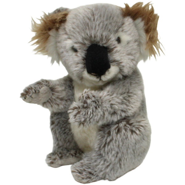Schöner Koala