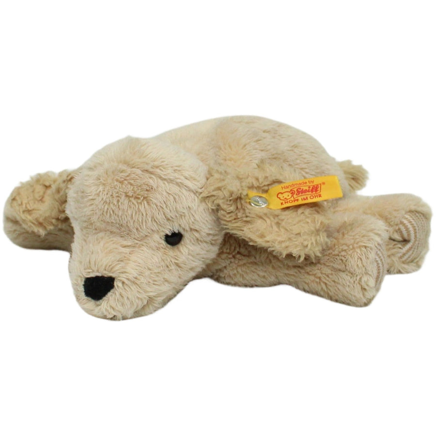Golden Retriever Welpe (281297), liegend