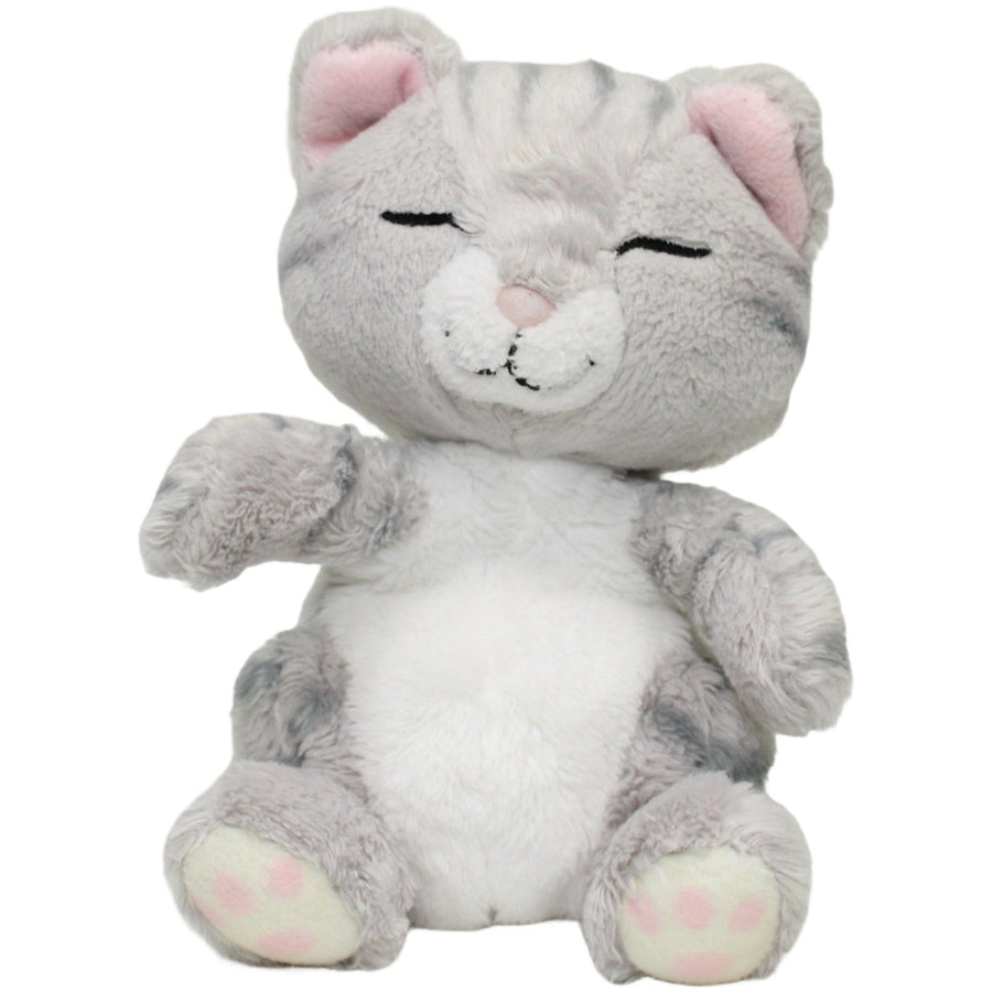 Sleeping Pets, kleine graue Katze