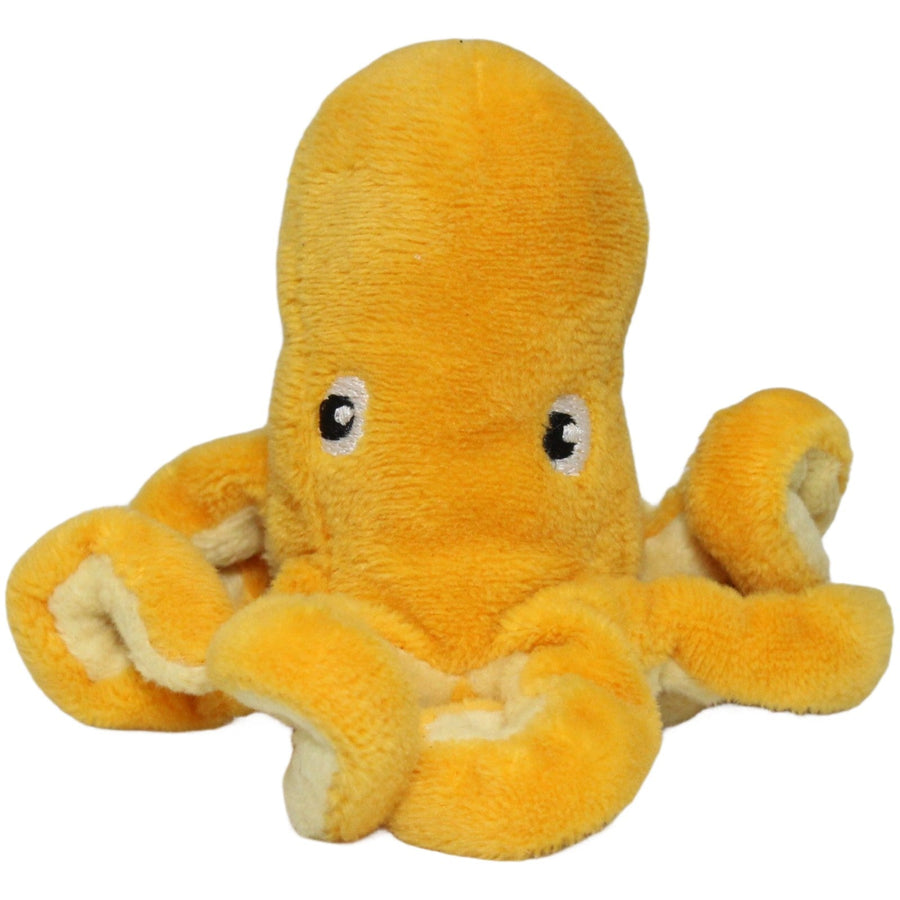 Gelber mini Oktopus, BLAVINGAD
