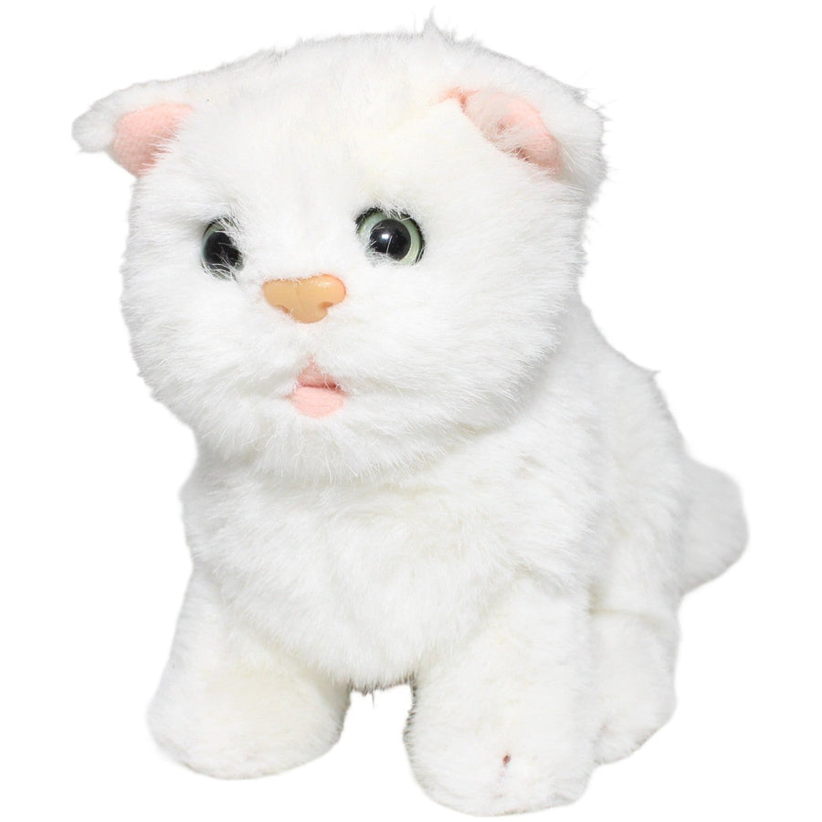 Kleine weiße Katze, sitzend