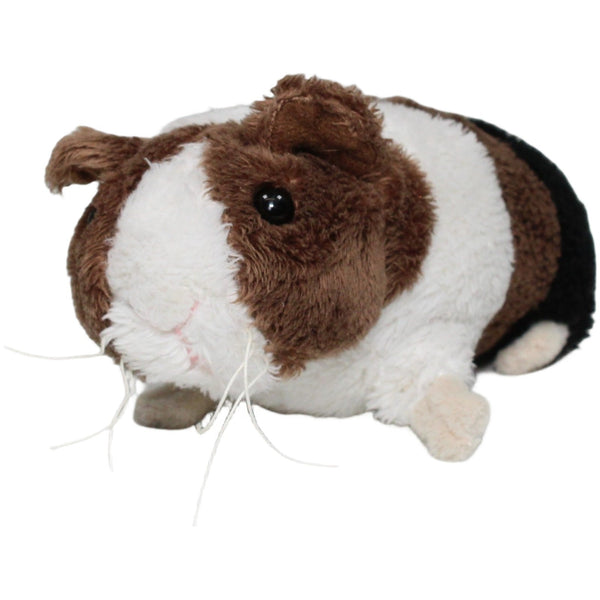 Süßes Meerschweinchen
