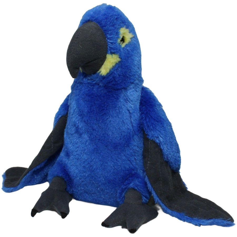Papagei, blau