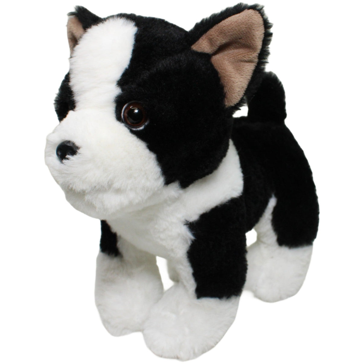 123000024628 Sunkid Süßer Boston Terrier Kuscheltier Kumpel Leo 22cm ebay - 20 - stofftiere Gebraucht