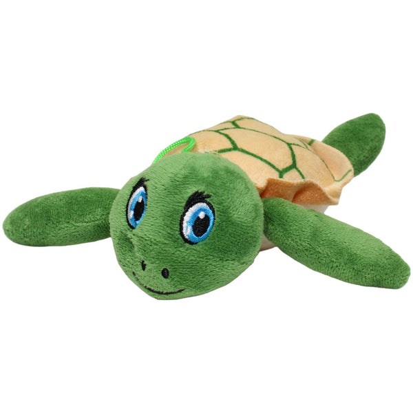 Süße Schildkröte mit blauen Augen