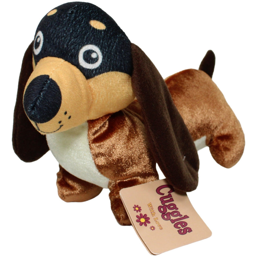 Cuggles, süßer Dackel