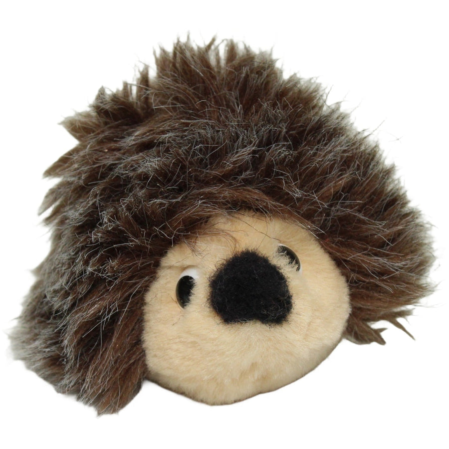 Süßer mini Igel