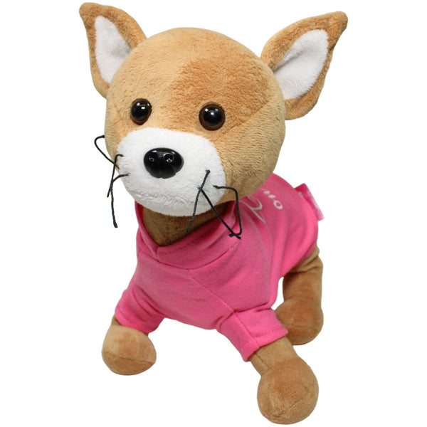 Süßer Chihuahua, stehend