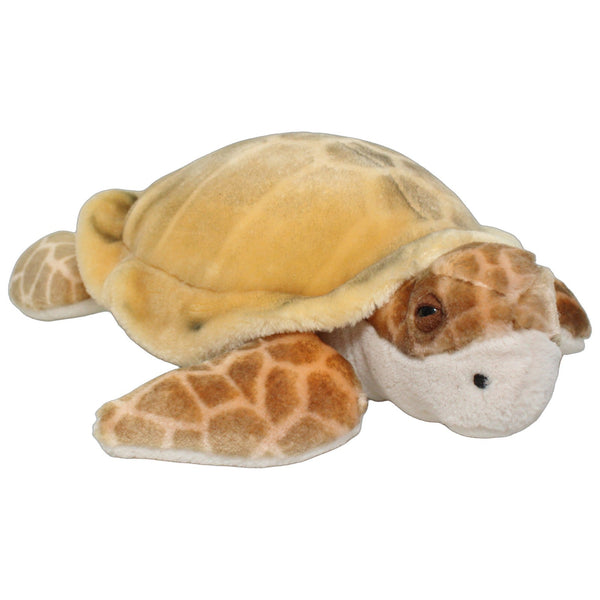 Hübsche Schildkröte