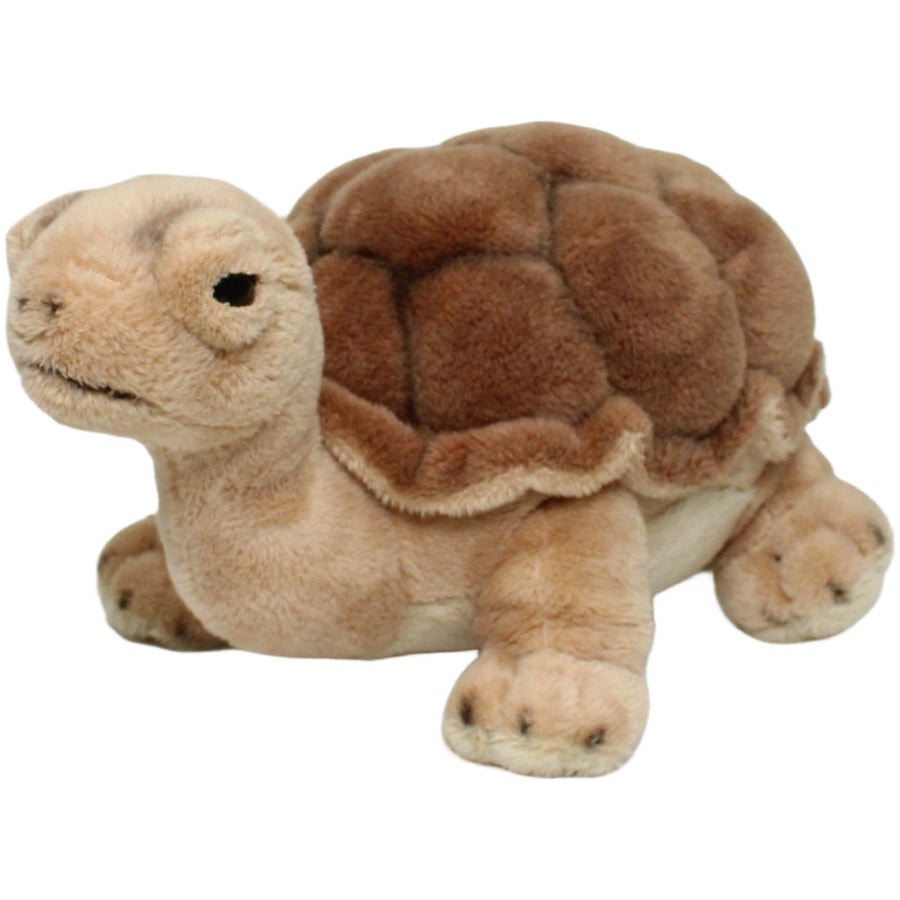 Hermann Teddy Collection, schöne Schildkröte