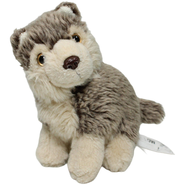 Kleiner Wolf, sitzend