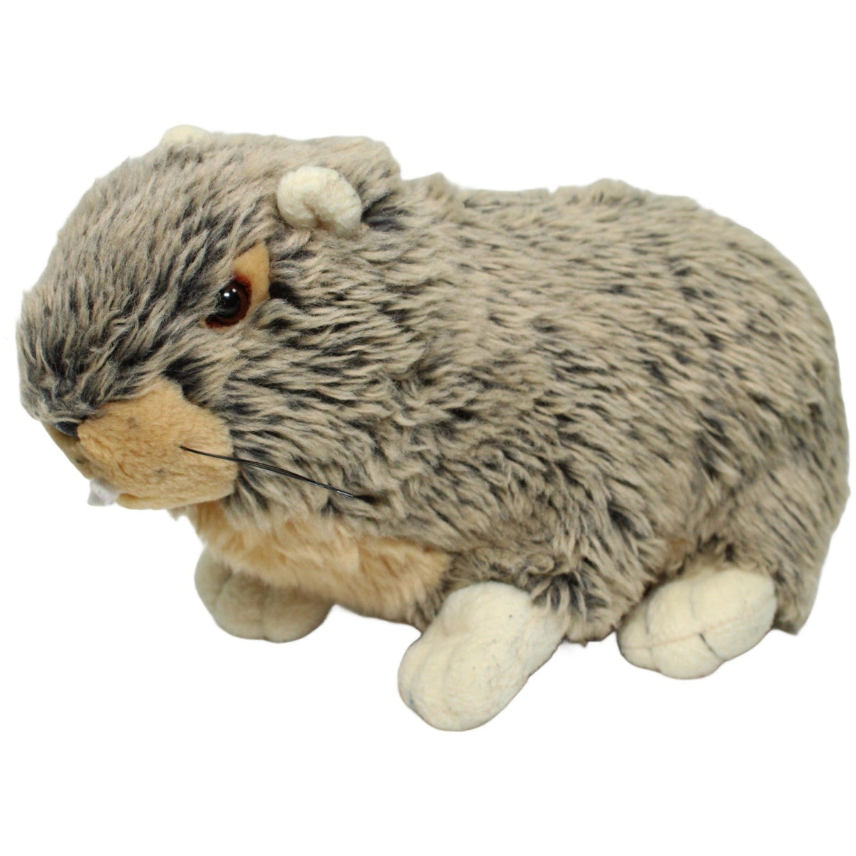 123000025193 Unbekannt Süßes Murmeltier Kuscheltier Kumpel Leo 24cm Beige ebay-stofftiere