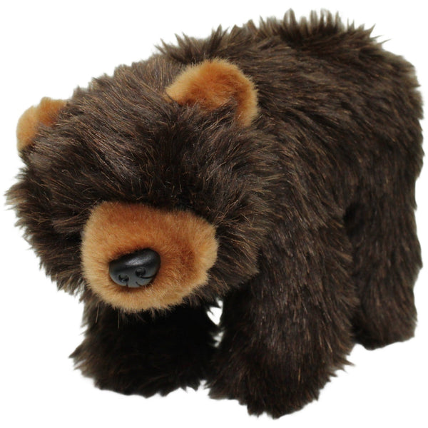 Hübscher Braunbär