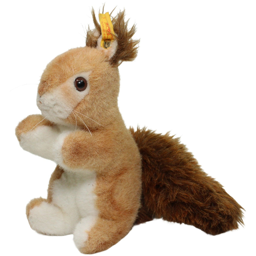 Eichhörnchen Ricky (071324)