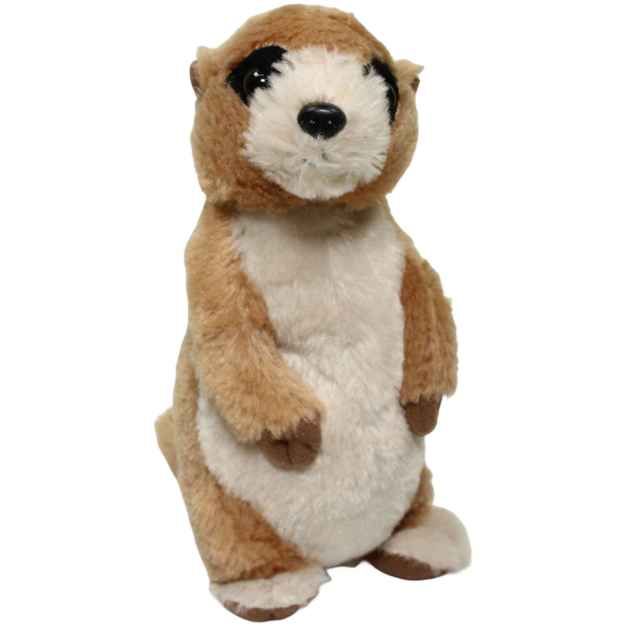 Süßes Erdmännchen, stehend