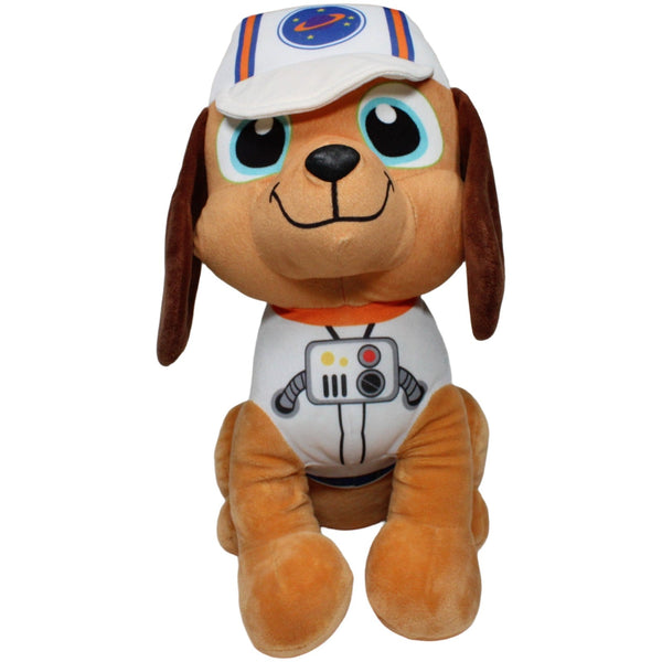 Brauner Hund mit Astronauten-Mütze, sitzend