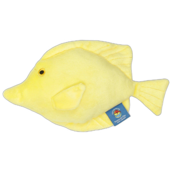 Gelber Segelflossendoktor