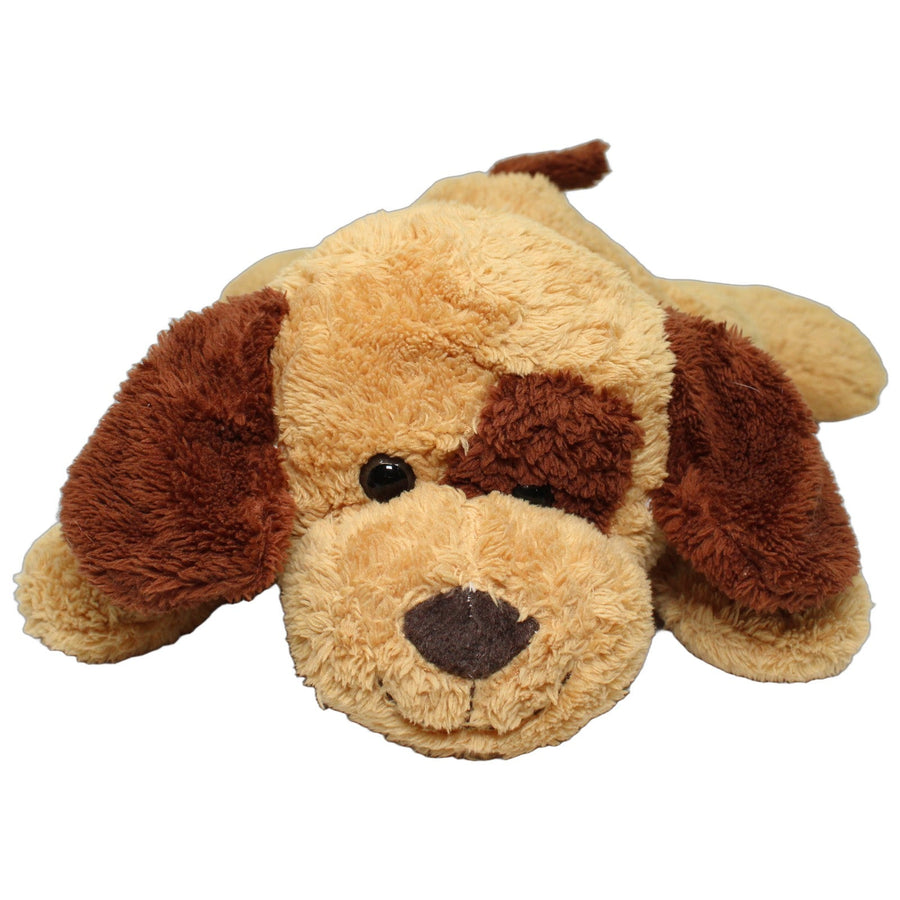 Lächelnder Hund mit Schlappohren, liegend