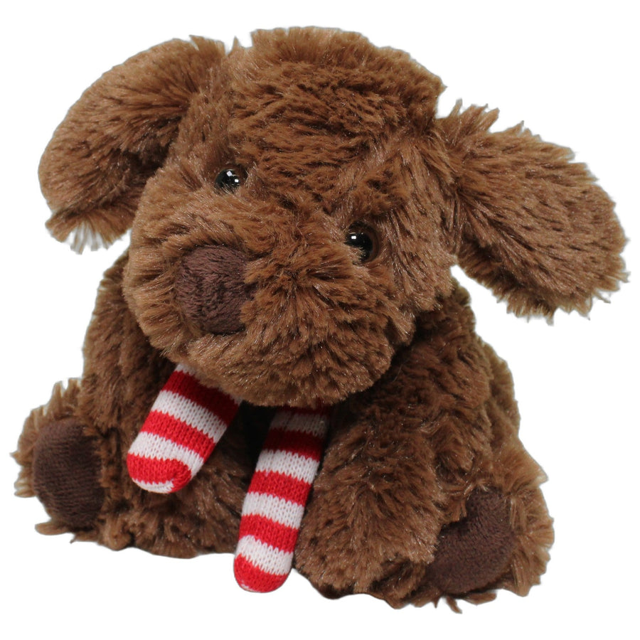 Brauner Hund mit Schal und Stauraum