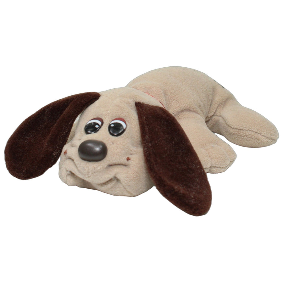Beiger Hund mit braunen Ohren, liegend