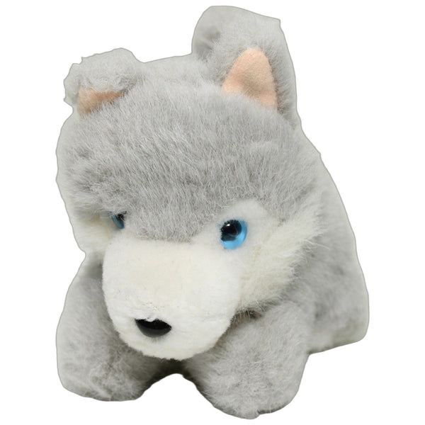 Süßer kleiner Husky