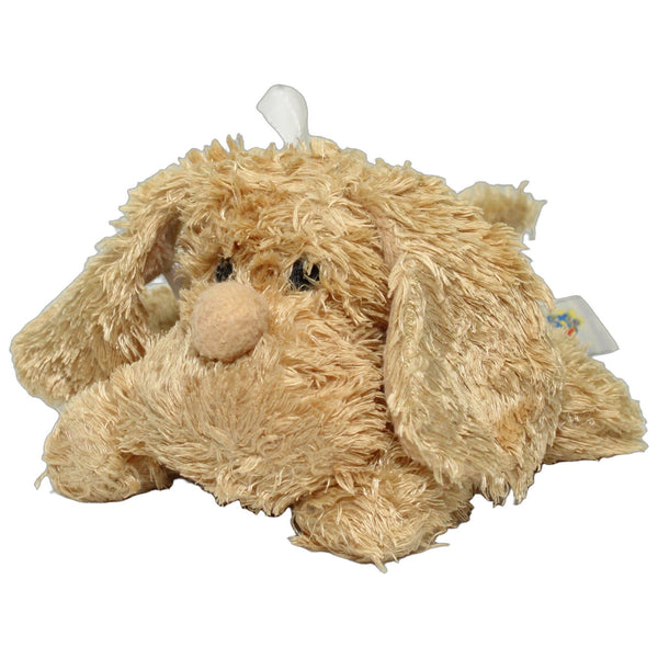 Beige Hund, liegend