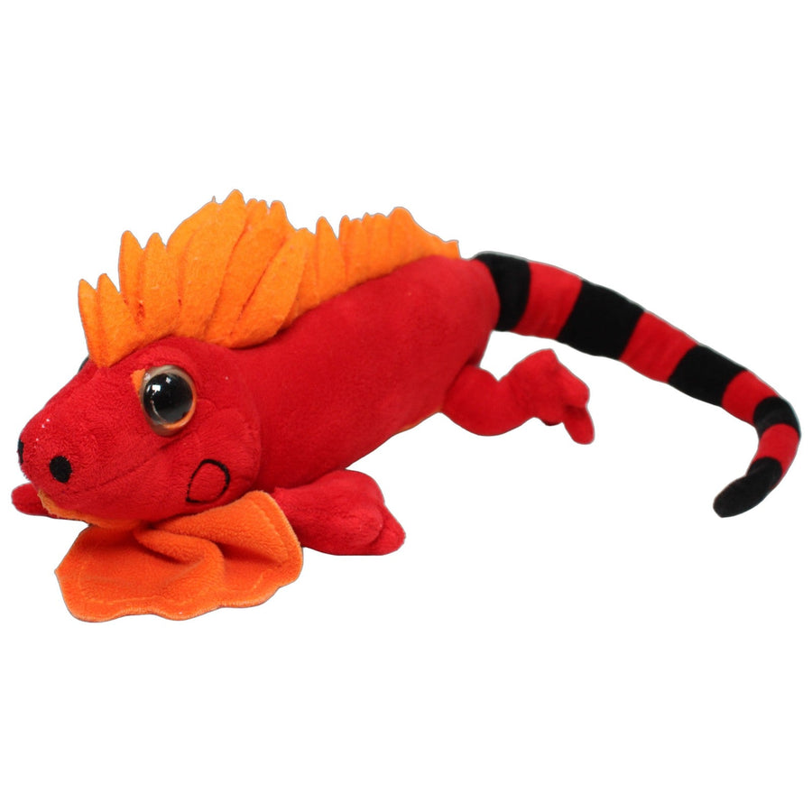 Roter Leguan