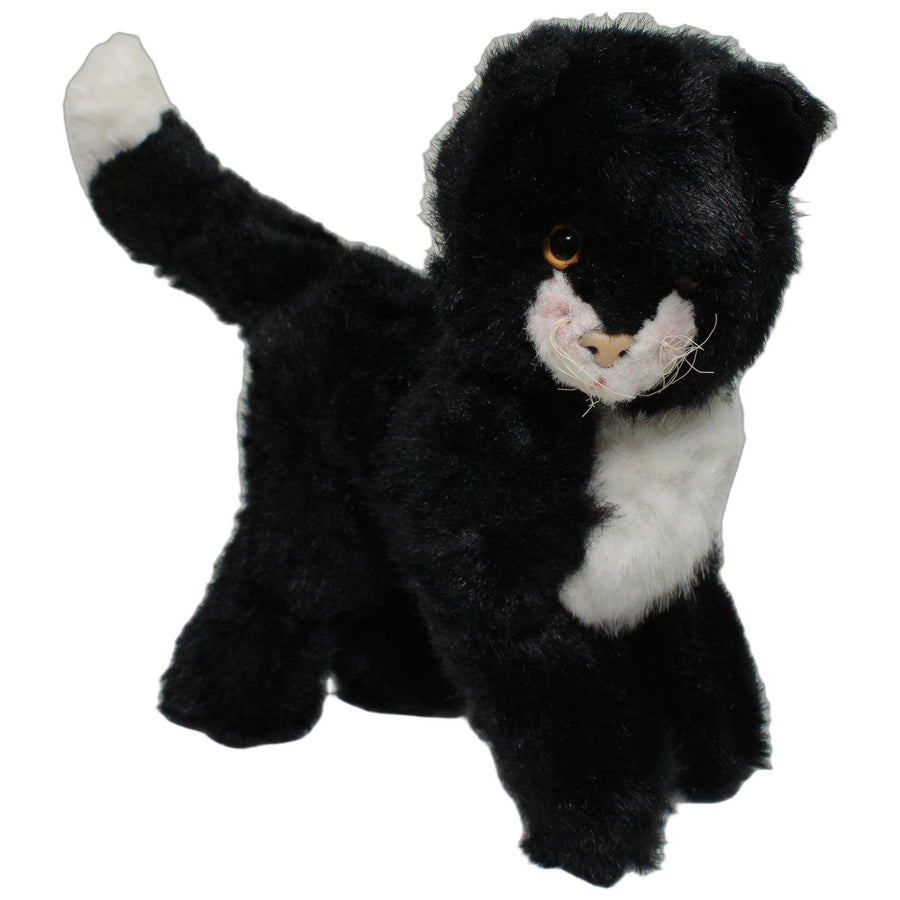 Süße schwarzweiße Katze, stehend