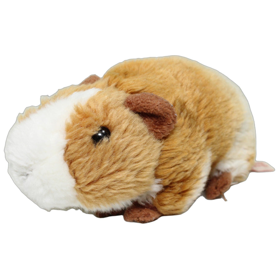 Süßes Meerschweinchen