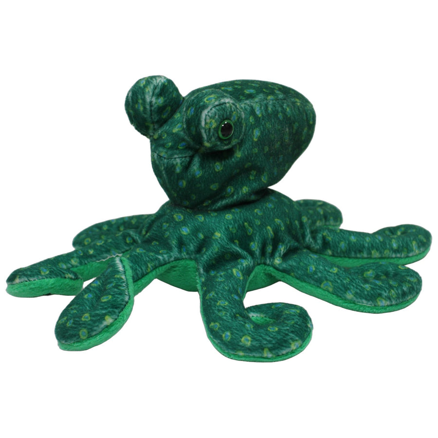 Oktopus mit schönem Muster, grün