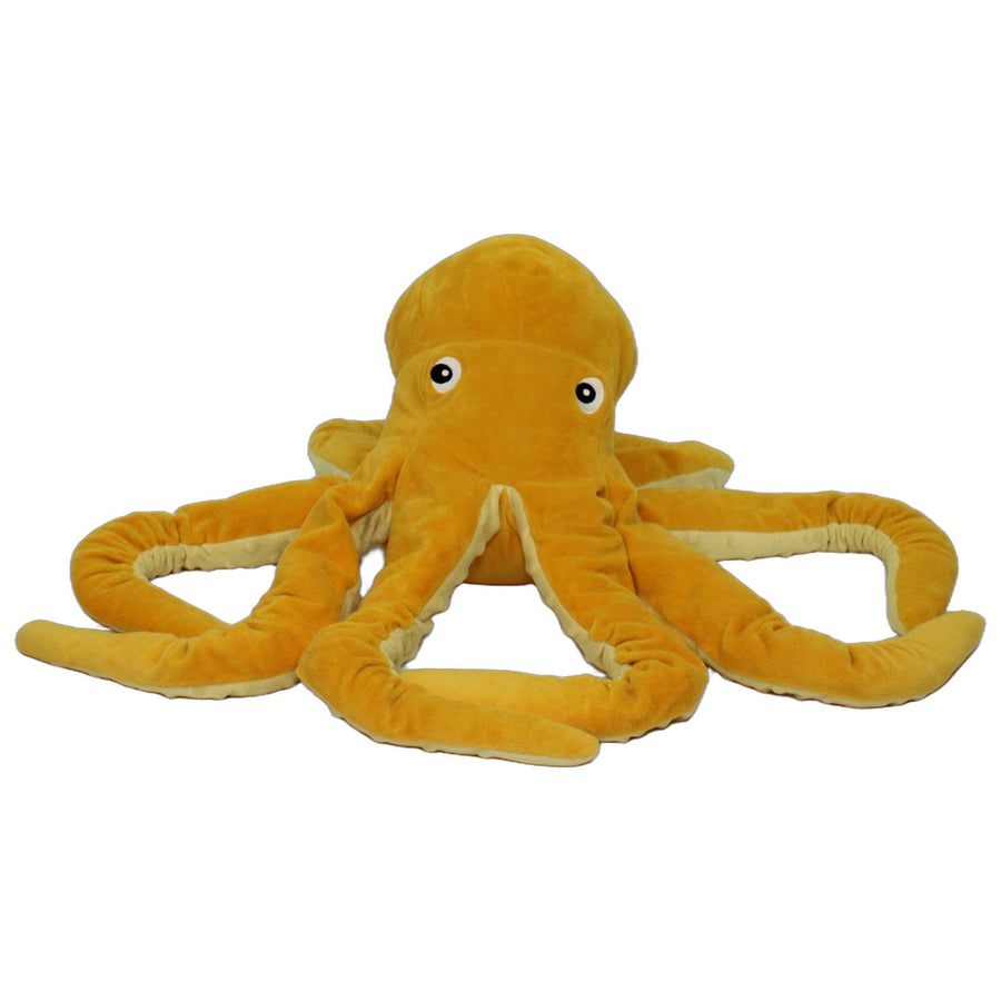Gelber Oktopus, BLÅVINGAD