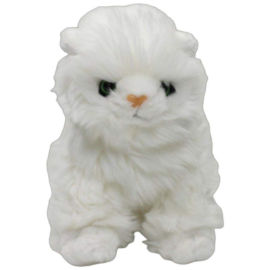 Süße Langhaarkatze, sitzend