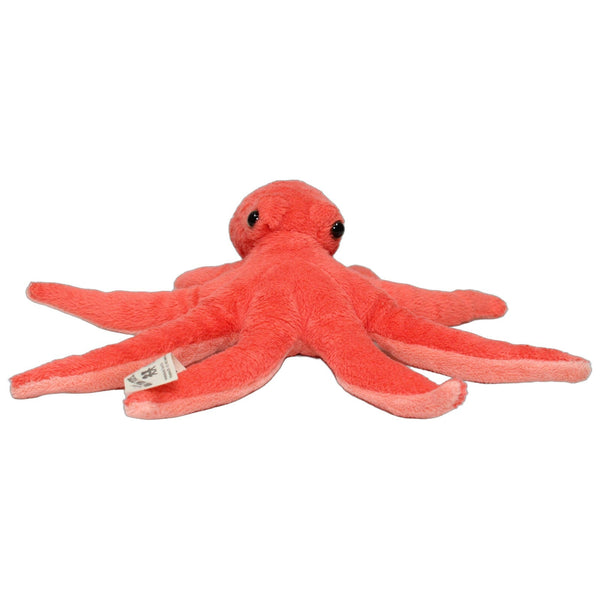 Roter Oktopus