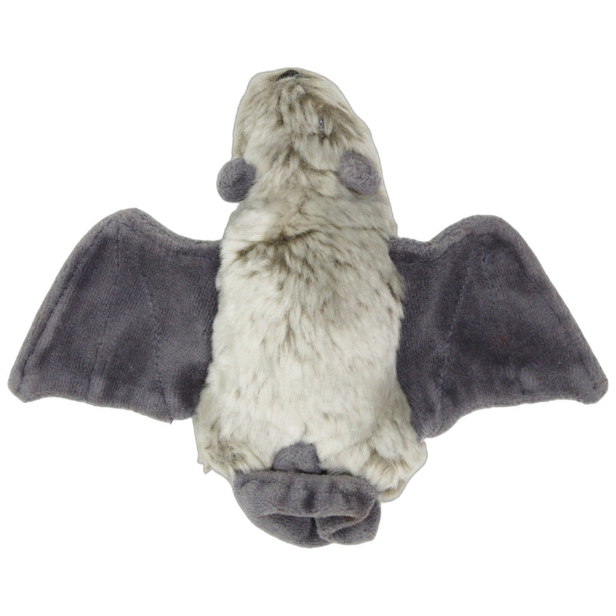 Süße Fledermaus