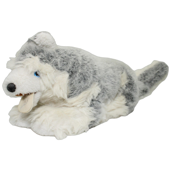 Schöner XL Husky, liegend