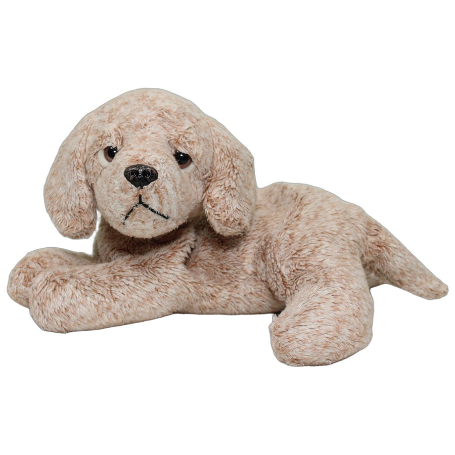 Süßer kleiner Golden Retriever