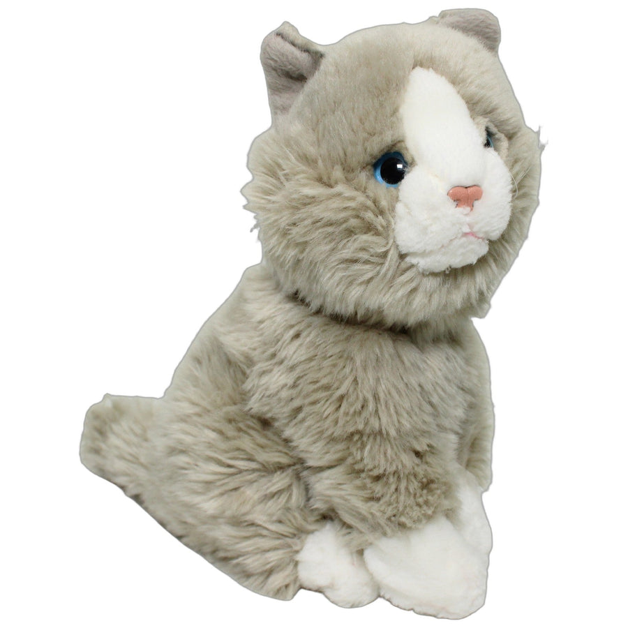 Graues Katzenbaby, sitzend