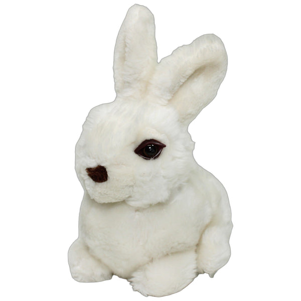 Süßer weißer Hase