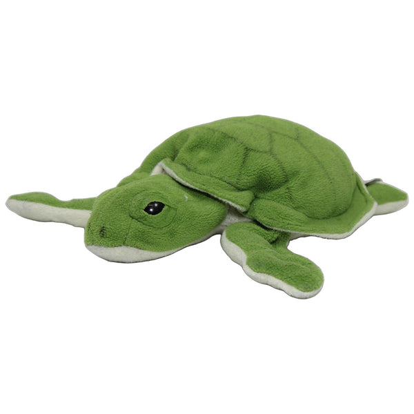 Hübsche grüne Schildkröte
