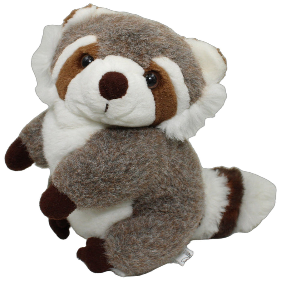 Süßer dicker Waschbär, stehend