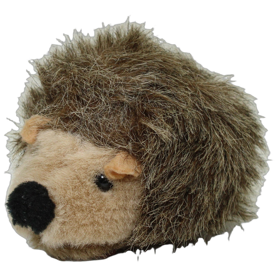 Süßer kleiner Igel