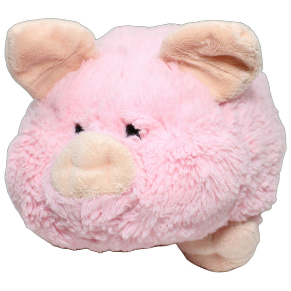 Süßes dickes Schwein
