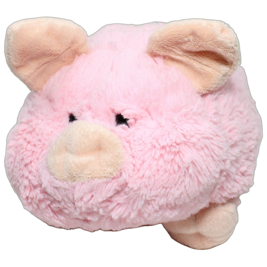 Süßes dickes Schwein