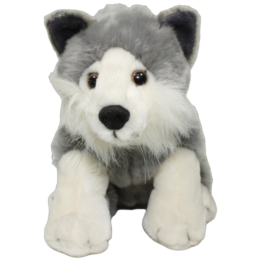 Plan, süßer Husky mit Schnurrbart